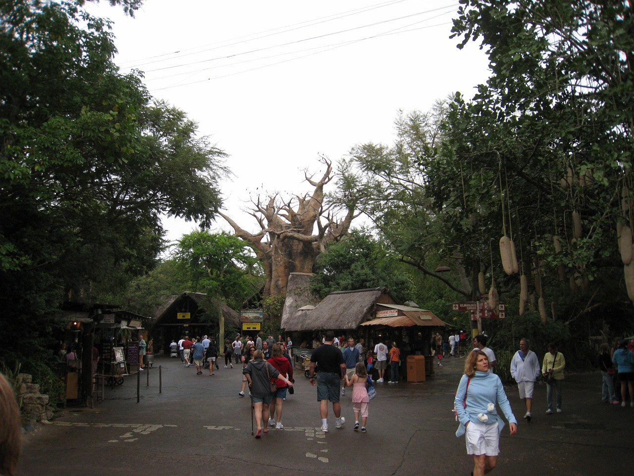 Vacation 2007-12 - Disney Parks  0400.jpg - The 2007-08 vacation to Florida included Disney World. We visited some of the larger theme Resorts along with Animal Kingdom and Disney Hollywood Studios.